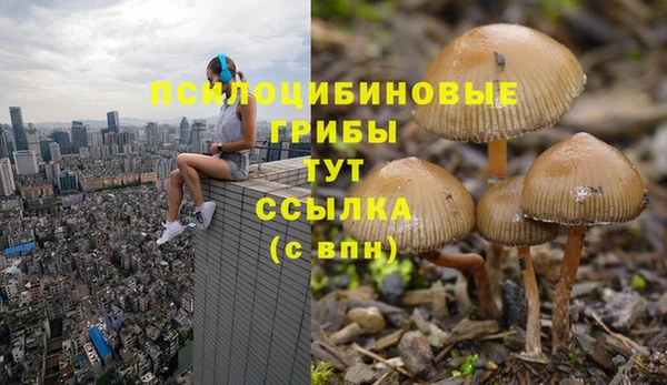 каннабис Дмитров