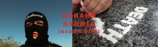 apvp Дмитриев