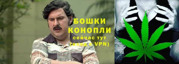 apvp Дмитриев