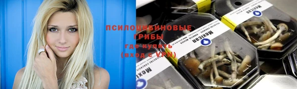 apvp Дмитриев