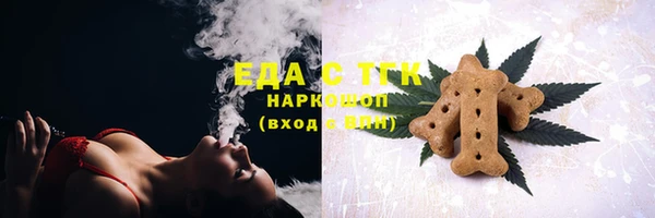 хмурый Ельня