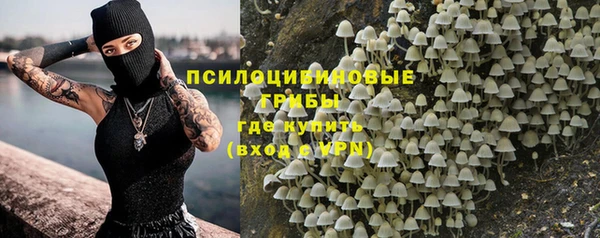 apvp Дмитриев