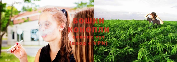 PSILOCYBIN Елабуга