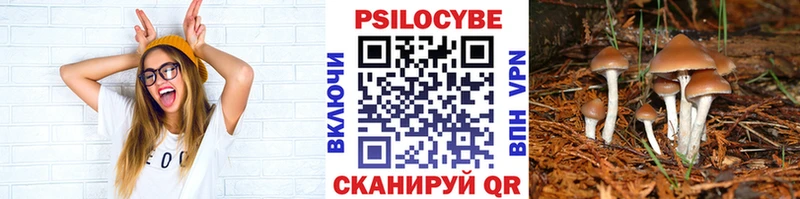 продажа наркотиков  omg как зайти  Псилоцибиновые грибы Magic Shrooms  Орехово-Зуево 